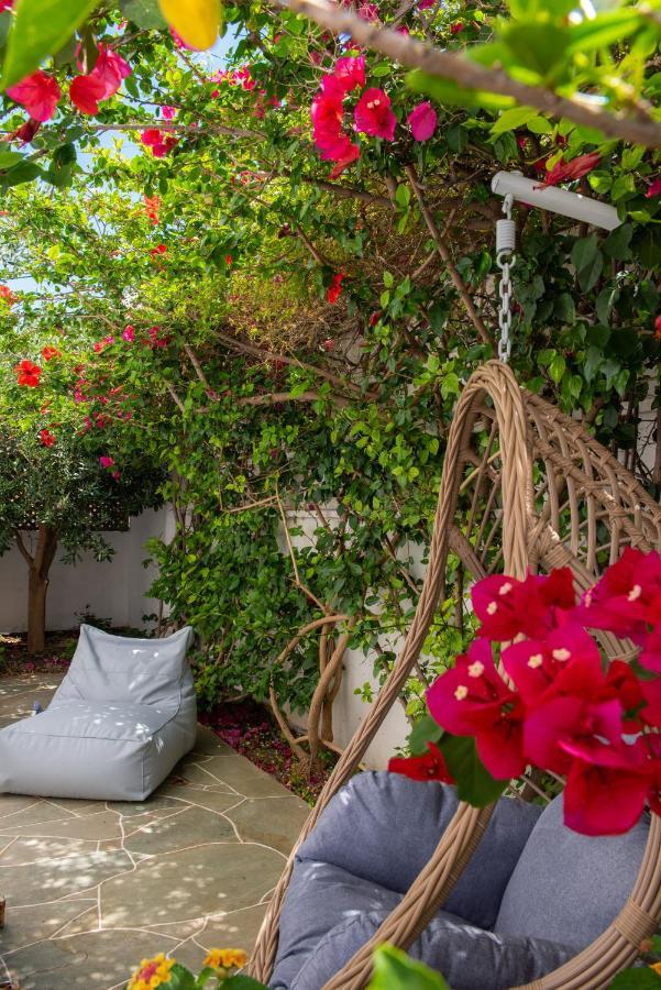 Nefeli'S Guesthouse In Platys Gialos Sifnos Platis Gialos  Екстериор снимка